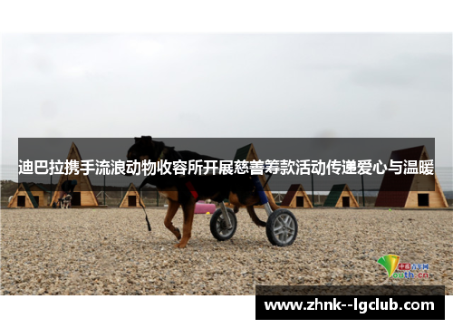 迪巴拉携手流浪动物收容所开展慈善筹款活动传递爱心与温暖