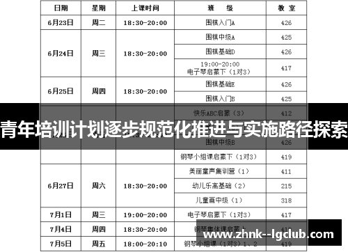 青年培训计划逐步规范化推进与实施路径探索