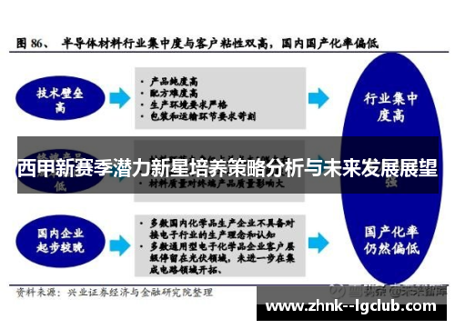 西甲新赛季潜力新星培养策略分析与未来发展展望 西甲新赛季潜力新星培养策略分析与未来发展展望