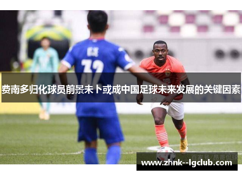 费南多归化球员前景未卜或成中国足球未来发展的关键因素